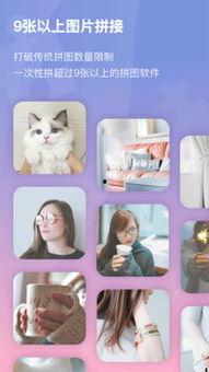 吃瓜拍照软件免费安卓,轻松记录生活点滴